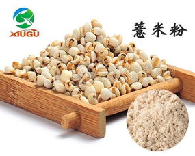 天津秀谷生物 專業(yè)廠直銷干燥薏米粉，打造健康食品新選擇